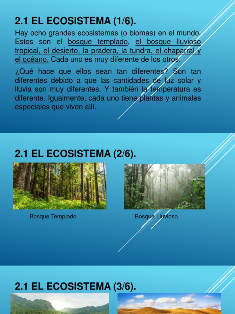 Ocho grandes ecosistemas y su energía | PDF | Ecosistema | Los bosques
