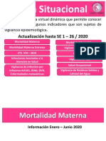 Sala Situacional 2020 PDF