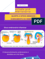 Fase Pré Embrionaria- DobramentO