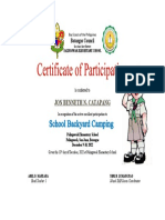 Certificate Boy Scout