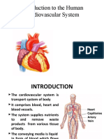 Introduction To Circulatory System