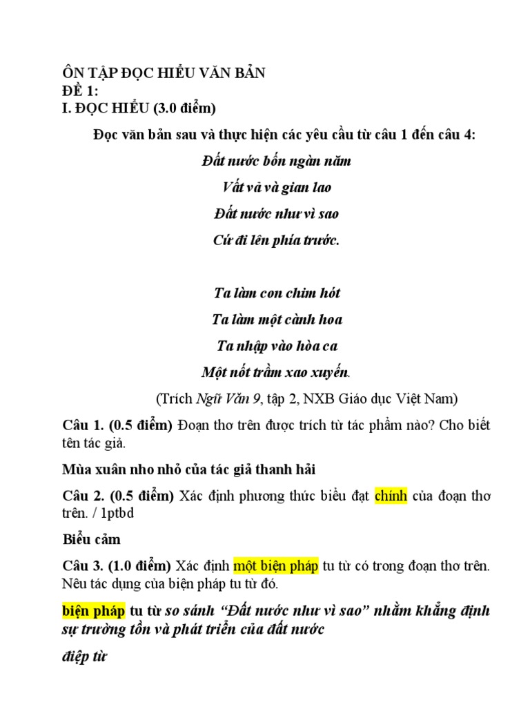 ÔN TẬP ĐỌC HIỂU VĂN BẢN | PDF