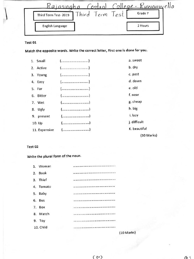 English - Grade 7 - Third Term Test 2019 - Ruwanwella Rajasinghe MV | PDF