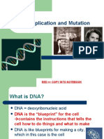 DNA: Replication and Mutation
