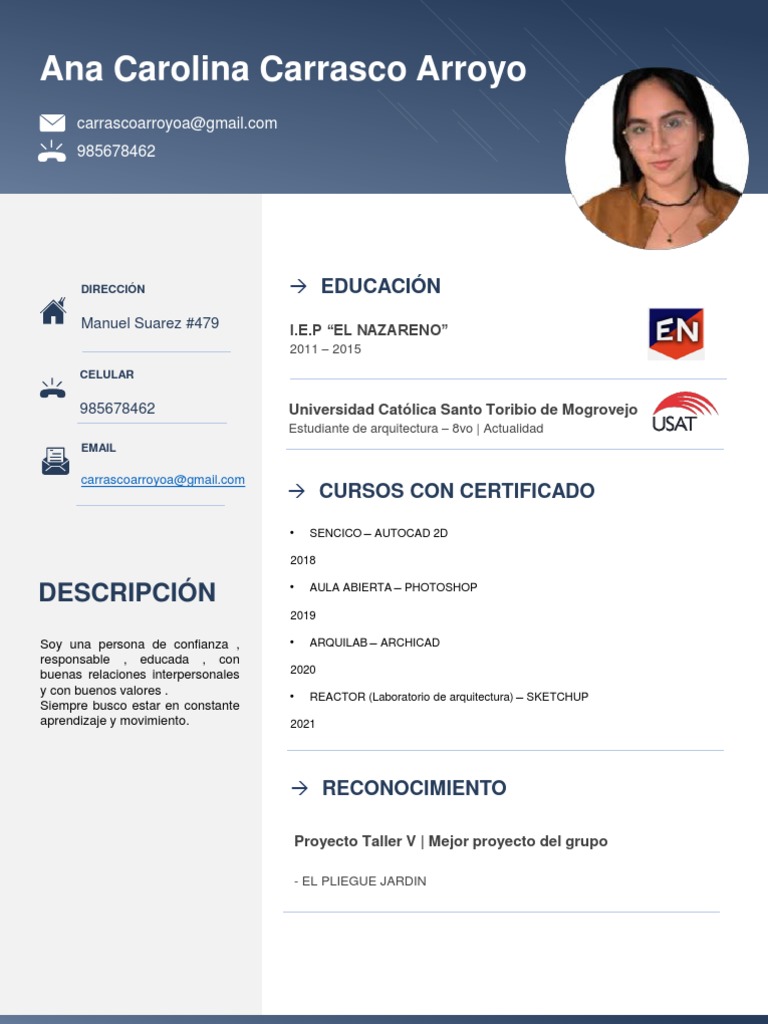 Perfil Profesional de Ana Carrasco Arroyo | PDF | Arte