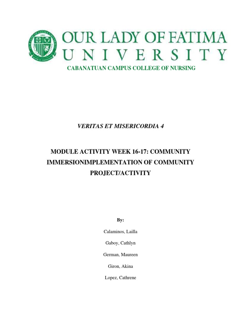 Community Project Implementation | PDF