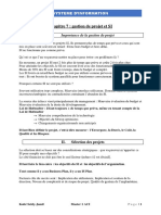 Gestion de Projet Et Systeme Dinformation PDF