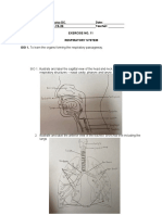 Week 11 Laboratory Exercise The Respiratory System