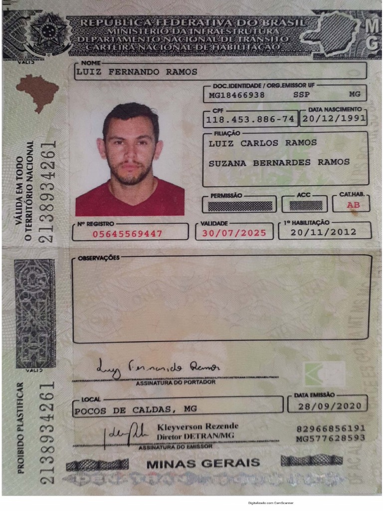 Luis Fernando Ramos PDF