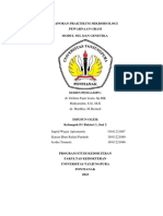 Laporn Bakteri Gram Positive Dan Negatif