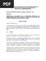 Download Informe API by Sofia Nuez SN62770760 doc pdf
