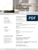 CV Nathan-1 Compressed