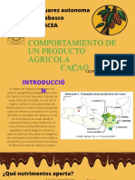 Producto Agricola Cacao