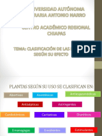 Clasificacion de Plantas