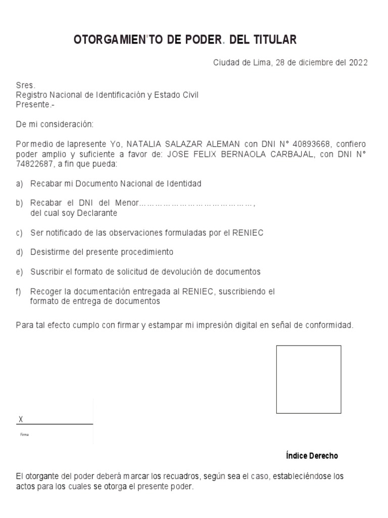 Poder para gestionar DNI ante RENIEC | PDF | Derecho