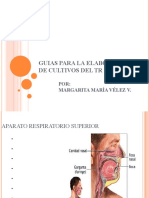 GUIAS PARA LA ELABORACIÓN de Muestras Respiratorias