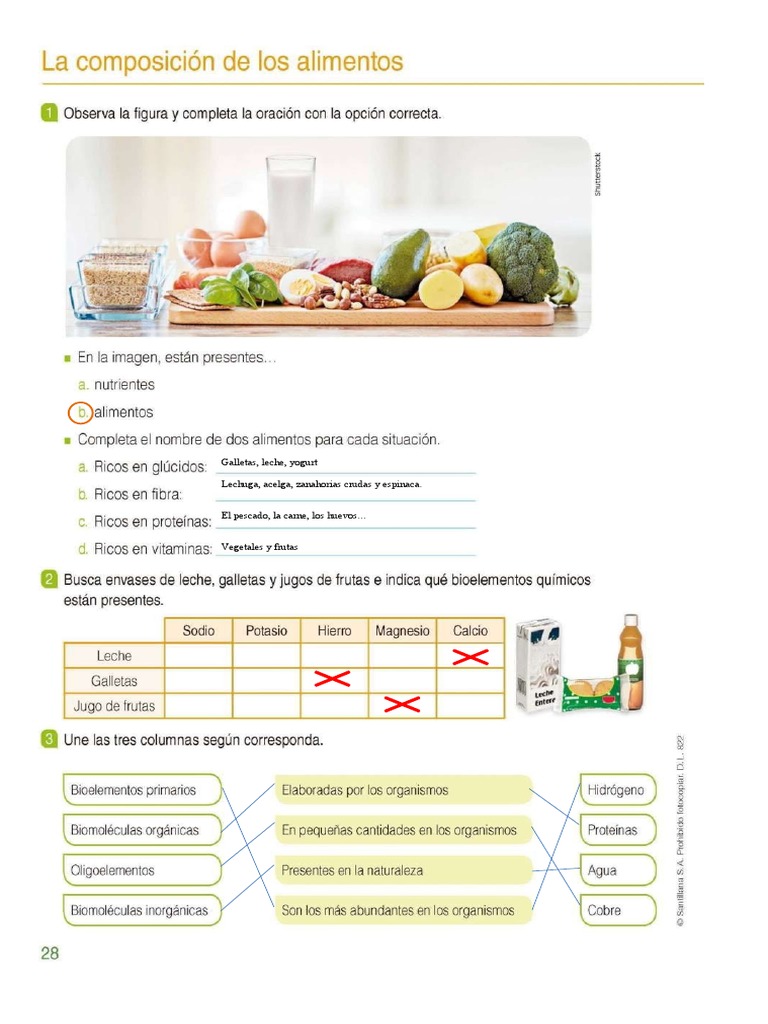 Composicion de Los Alimentos - Actividad Santillana 1 | PDF | Cocina ...