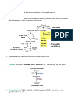 Bacterial Parthway