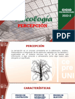 Semana 8 - Percepción