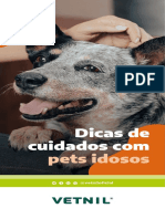 Take One Dicas de Cuidados Com Pet Idosos