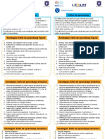 Estrategias 1.14 Habilidades Intelectuales. Estilos de Aprendizaje (Preescolar)