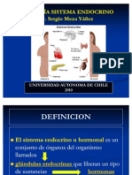 Clase 22 Anatomía Sistema Endocrino