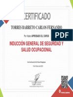 Curso Inducción General de Seguridad y Salud Ocupacional - Doc 22090789 - TORRES BARRETO CARLOS FERNANDO
