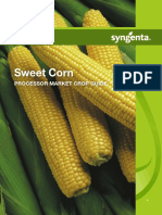 Processor Sweet Corn Crop Guide
