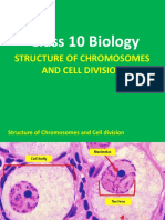 Chapter 2 Chromosome Structure, Cell Cycle and Cell Division Session 1