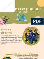 Cele Mai Colorate Animale Din Lume