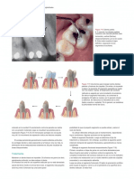Endodontics Principles and Practice (139 279)