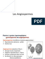 L3 Biotechnologie Vege Amelioration 19-20 Tedjari-Angiospermes