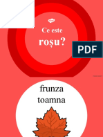 Ds 17 Ce Este Rosu Prezentare Powerpoint - Ver - 5