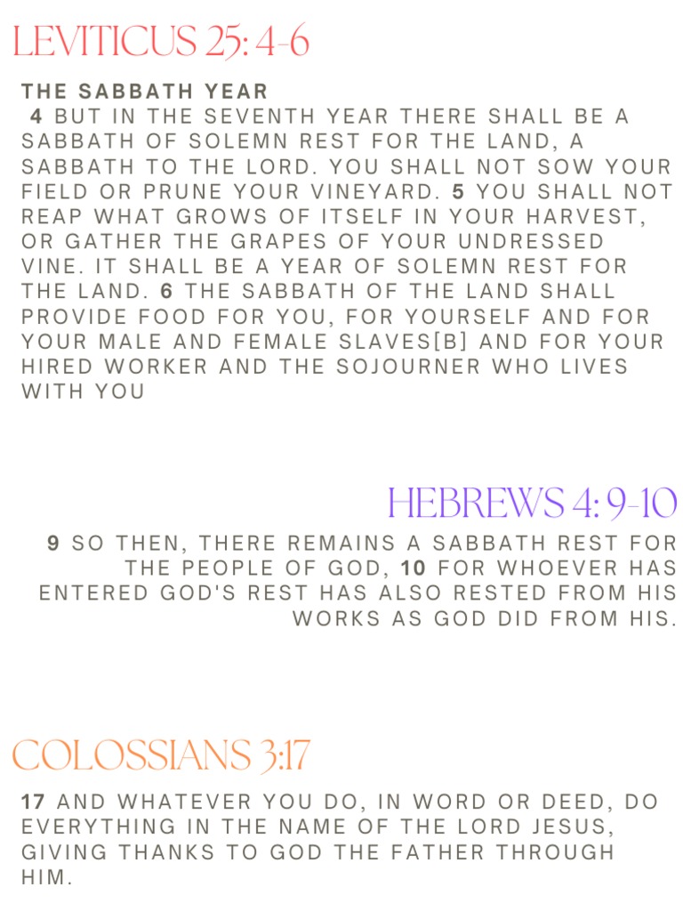 The Sabbath Year A Time of Rest for the Land and Its People PDF