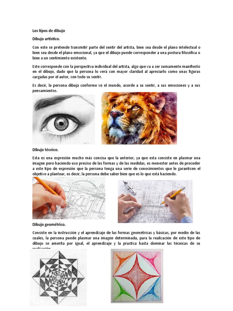 Los Tipos De Dibujo PDF Dibujo Animaci n