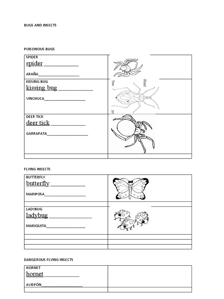 Guide to Poisonous and Helpful Insects | PDF | Home & Garden