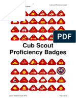 Cub Scout - Prof Badge Syllabus