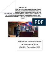 2 - Informe Caracterización - Zarumilla