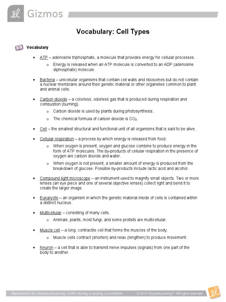 Cell Types Vocab | PDF | Cell (Biology) | Organisms