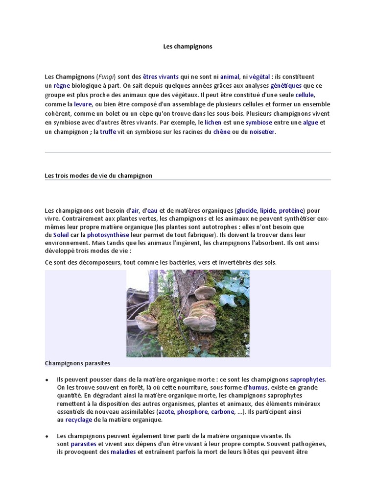 Comprendre les champignons et leur rôle | PDF | Champignons | Organismes
