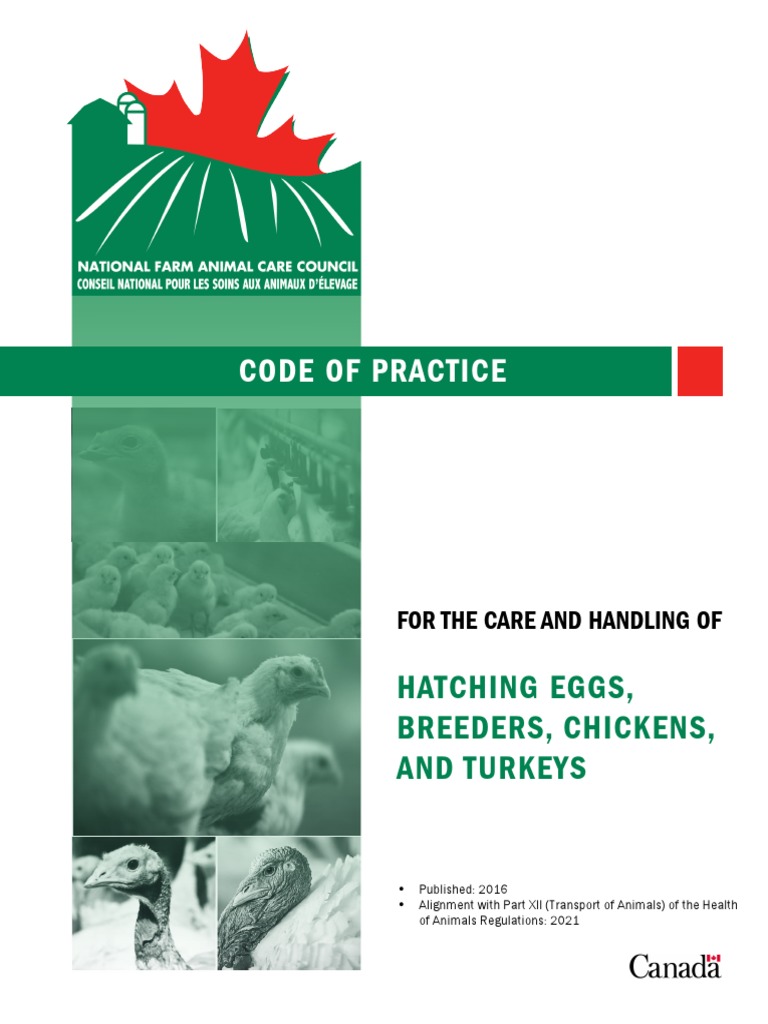 Model Codes Of Practice For The Welfare Of Animals