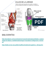 Músculos de La Laringe