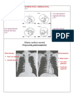 Radiologia Cardiaca - 044148