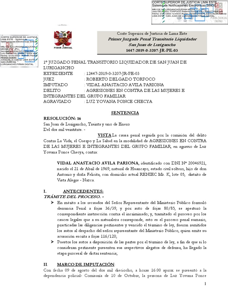 Sentencia de Vidal | PDF | Castigos | Derecho penal