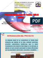 Diapositivas Formato Proyecto