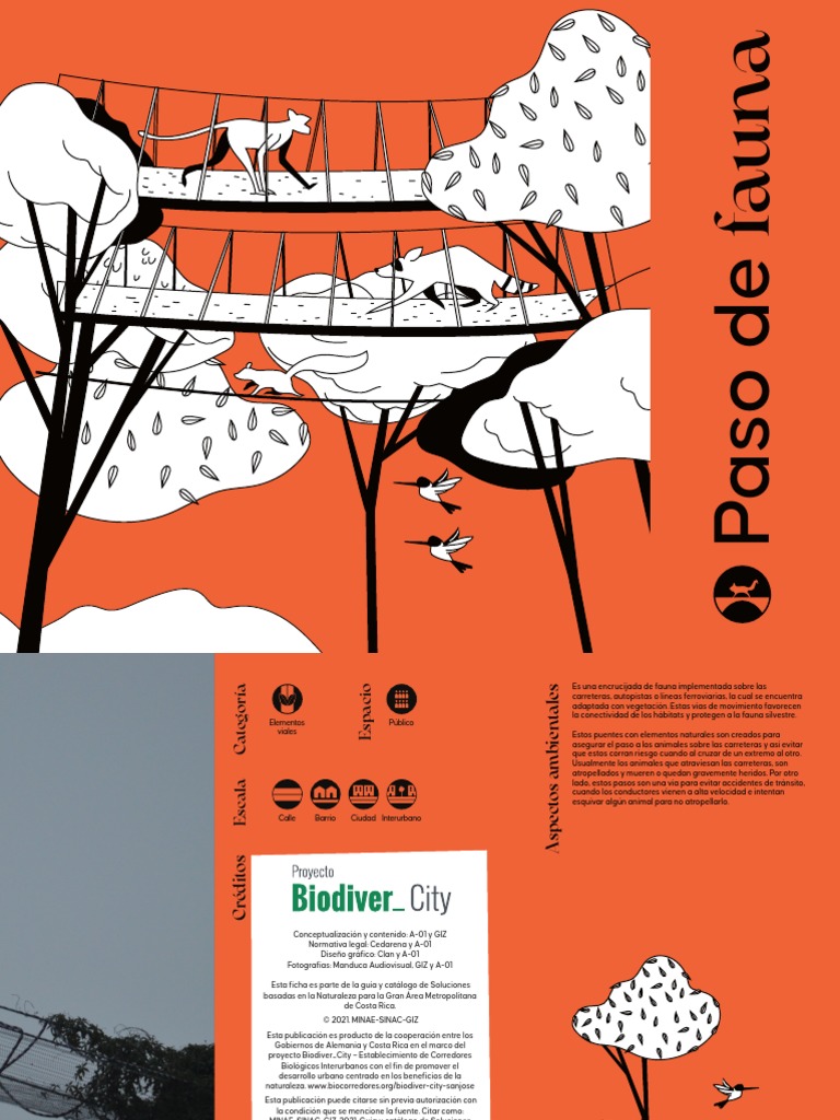 22 - Paso de Fauna DIGITAL | PDF | Entorno natural | La carretera