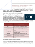 Sete Níveis de Consciência Da Liderança