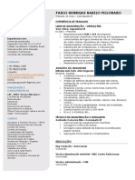 Curriculo - Paulo P. 2023at