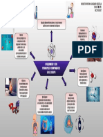 Principales Componentes en El Cuerpo Bioquimica