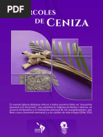 Miercoles de Ceniza 1